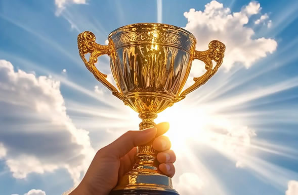 售后完善口碑好